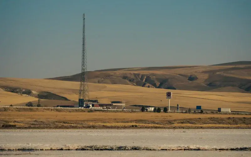 Media & Telecom Case Study